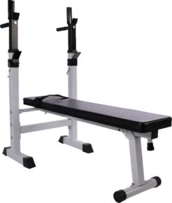 Physionics - Halterbank - Dips Bank - Bankdruk - Buiktrainer - Rugtrainer - Gewicht Heffen - Antislip - Verstelbaar -Fit Verkoop 1023x1200 1