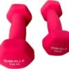 Db SKILLS 1KG Dumbbell Set Van 2 Stuks - Gewichten - Fitness - Sport -Fit Verkoop 1200x1049 3