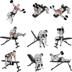 EchoGoods Halterbank - Inclusief Gratis Weerstandbanden En E-book - Fitnessbank - Bench Press - Trainingsbank - Halterbank Verstelbaar - Halterbank Opklapbaar - Rugsteun - Halterbank Gemonteerd + GRATIS E-book -Fit Verkoop 1200x1197 13