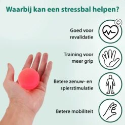 WeRelieff Stressbal Voor Hand - Set Van 3 Ronde Stressballen Voor Kinderen & Volwassenen - Hand Trainer In Rood Geel Blauw -Fit Verkoop 1200x1200 1416