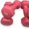 Dumbells - Neopreen Set 1, 2 En 3 Kg - Dumbellset - Halterset - Fitness Gewichten - Paars En Roze 2 Dumbells - Neopreen Set 1, 2 En 3 Kg - Dumbellset - Halterset - Fitness Gewichten - Paars En Roze -Fit Verkoop 1200x511 1