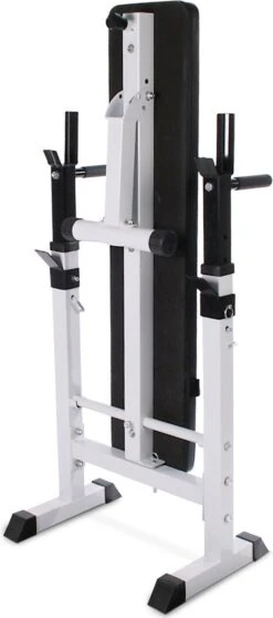 Physionics - Halterbank - Dips Bank - Bankdruk - Buiktrainer - Rugtrainer - Gewicht Heffen - Antislip - Verstelbaar -Fit Verkoop 531x1200