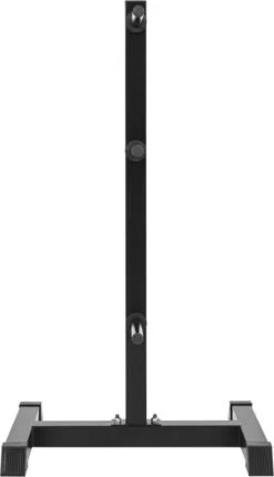 Gorilla Sports Schijvenstandaard Zwart 30/31 Mm - Gewichten Rek - Halterrek -Fit Verkoop 690x1200