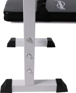 Physionics - Halterbank - Dips Bank - Bankdruk - Buiktrainer - Rugtrainer - Gewicht Heffen - Antislip - Verstelbaar -Fit Verkoop 979x1200 1